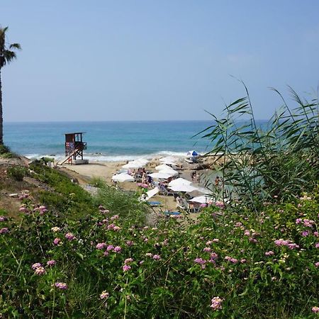 Limnaria Gardens Paphos, Near Beach מראה חיצוני תמונה