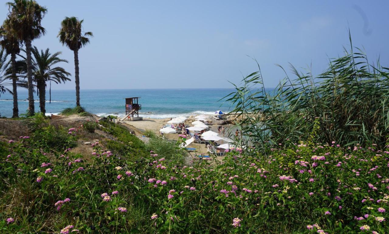 Limnaria Gardens Paphos, Near Beach מראה חיצוני תמונה